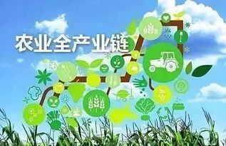 滞销困境下，农业产业链缺失的代价——低价与被动销售之痛