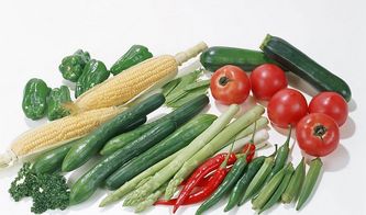 产业化发展，夯实扶沟蔬菜品牌基础——以初级农产品销售为视角