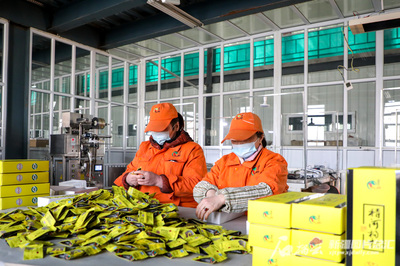 从田间到指尖 新疆特色农产品的华丽转型