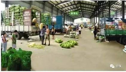 从红山草猪专卖店的营销看中国农业商业化三大模式——初级农产品销售篇