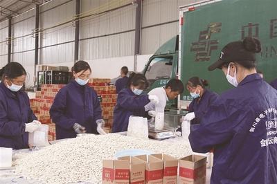 剑川 铺就脱贫攻坚小康路，打造初级农产品销售新模式