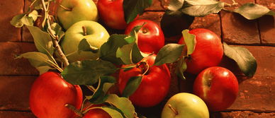 从田间到品牌 初级农产品品牌化与区域公共品牌的系统性建设策略