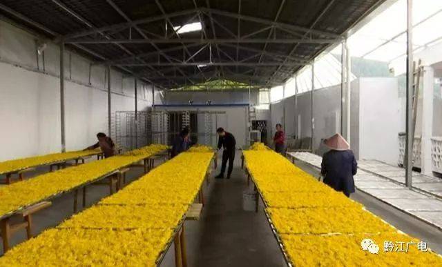 从“山里货”到“金疙瘩” 农产品深加工如何实现价格倍增与价值跃升