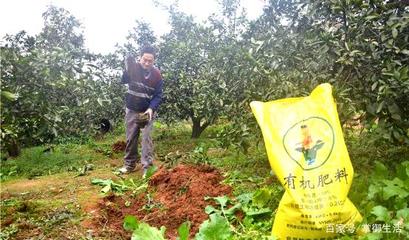 农业困境 农民在农产品销售中缺失定价权