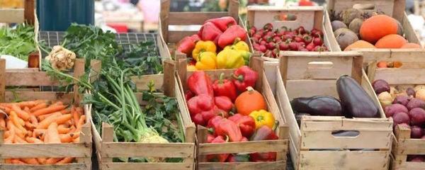 初级农产品的销售渠道、模式及三无产品问题探讨