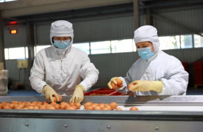 五好台安 不一样的东北乡村，初级农产品销售新篇章